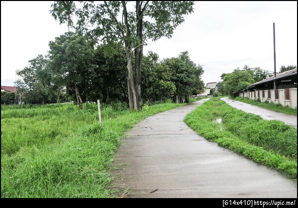 	ขายบ้านเดี่ยว ขายบ้านพร้อมที่ดิน ขายบ้าน4ห้องนอน, แม่ริม