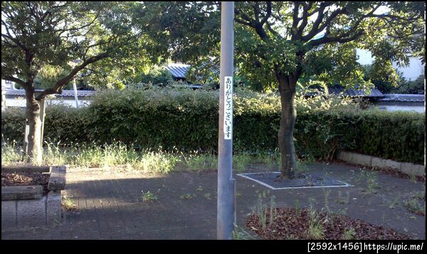 どういたしまして。