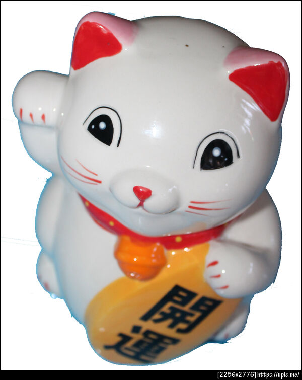 แมวมิ้นท์