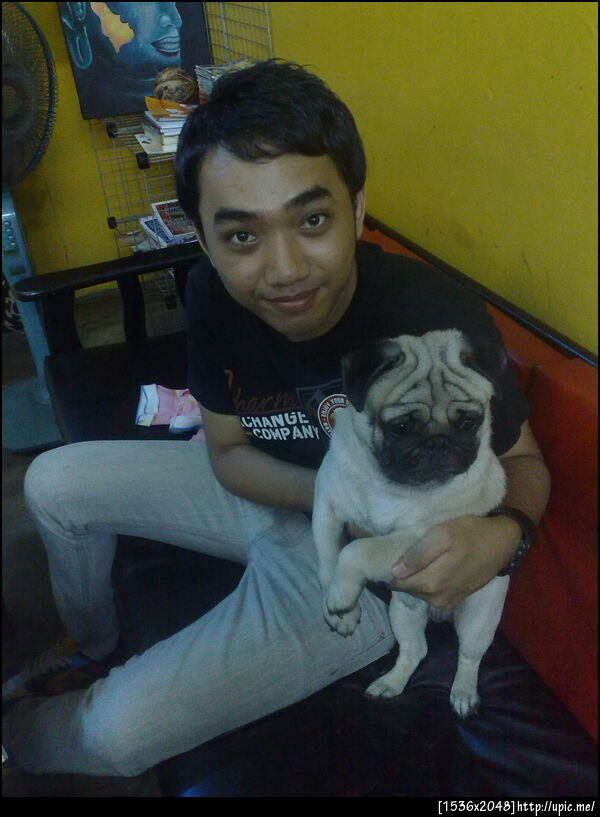 น้องปั๊กหน้าย่น