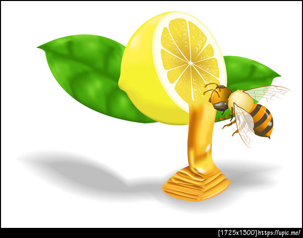 สนใจใช้บริการคลิกที่ลิงค์นี้: https://fastwork.co/product/565ea0447d2deddc0969981c