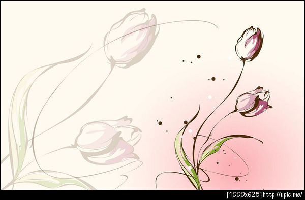 ม่วงหรูหรา100