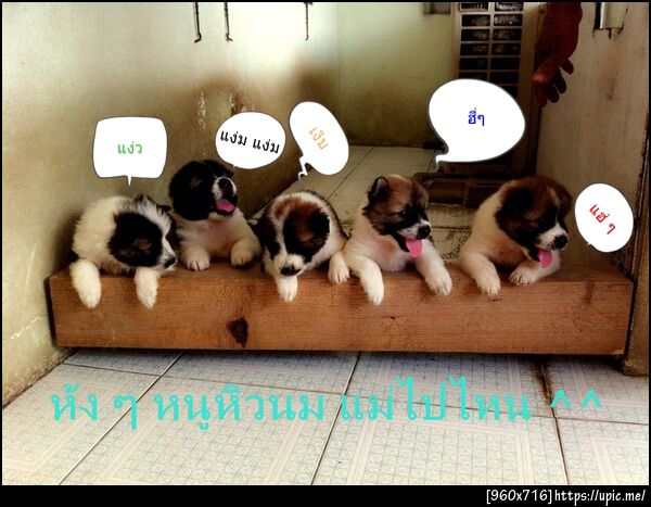 ฝากรูป