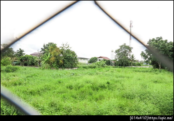 	ขายบ้านเดี่ยว ขายบ้านพร้อมที่ดิน ขายบ้าน4ห้องนอน, แม่ริม