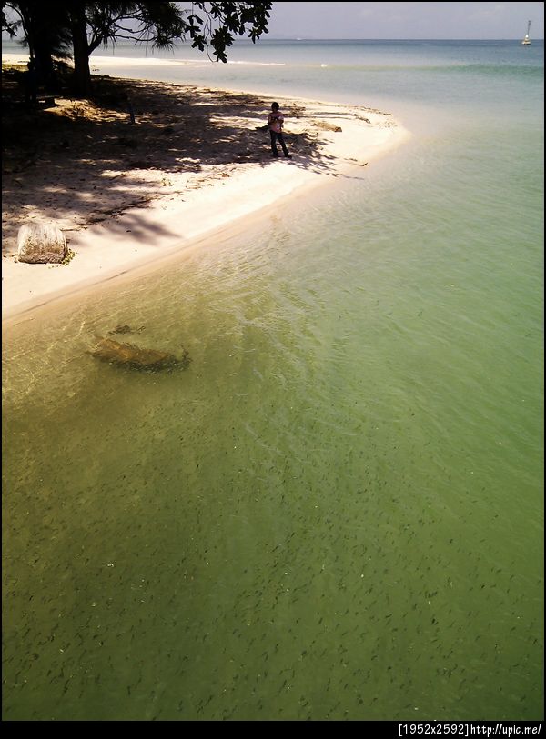 ฝูงปลาาาาา ณ ตะรุเตา