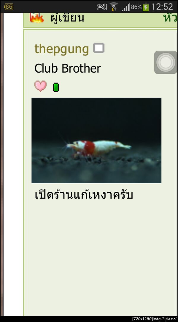 ฝากรูป