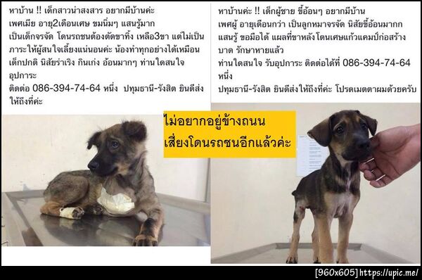 ฝากรูป