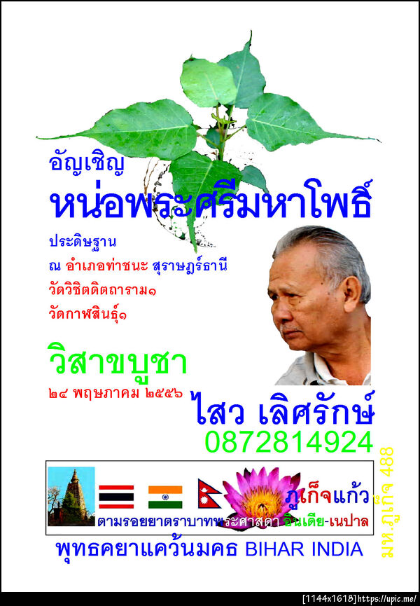 488 ไสวอัญเชิญพระโพธิ์