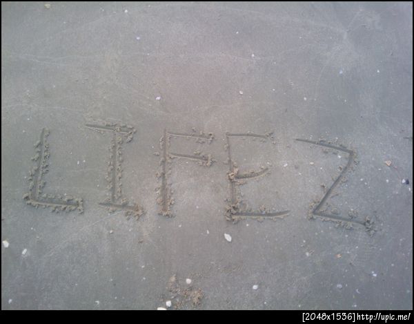 สลักชื่อ