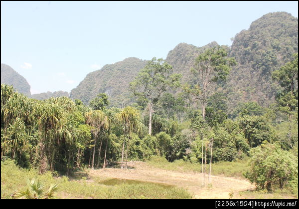 ด่านพญาพิพิธ