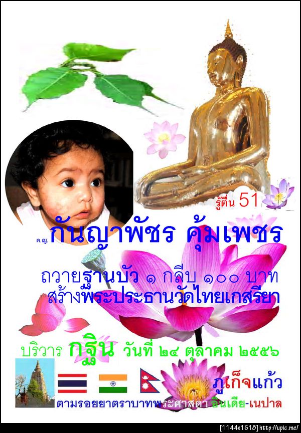 51กันญาพัชร