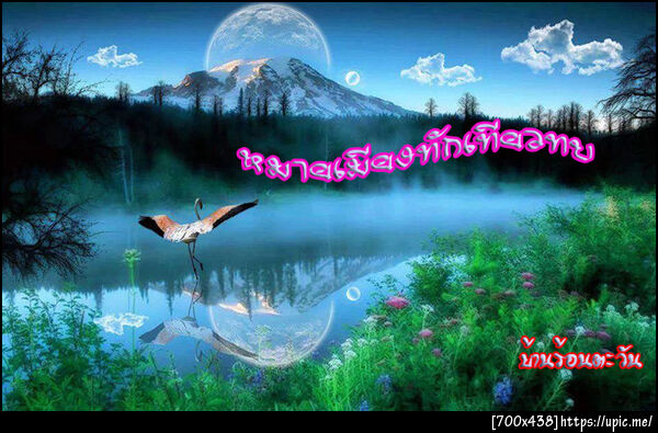 ฝากรูป