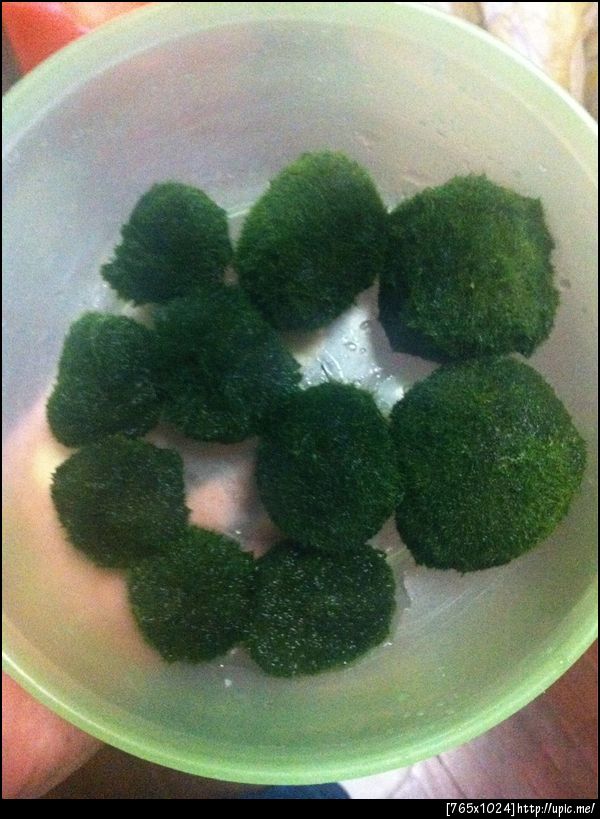 มาริโมะ น่ารักมาก