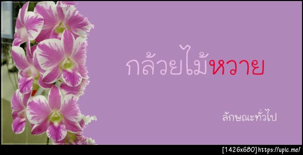 ฝากรูป