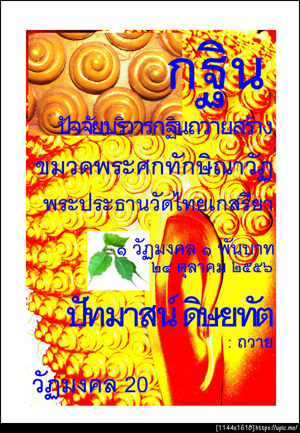 20ปัทมาสน์