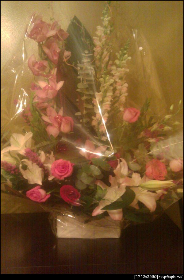 tropical flowers how kayute