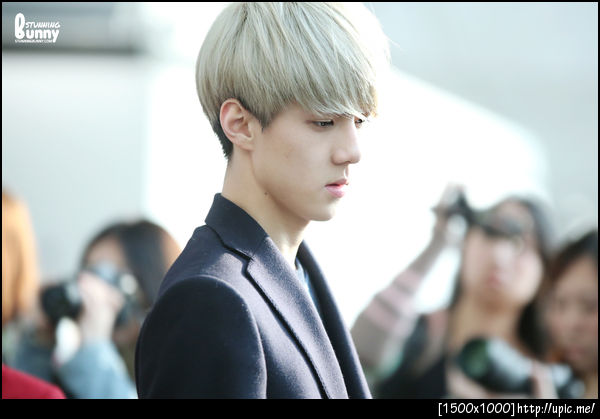 CR.STUNNING BUNY