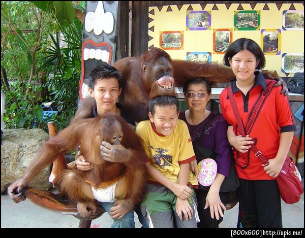 เอ่อ ตูคงกล้าหันไปจุ๊บมันอยู่หรอก