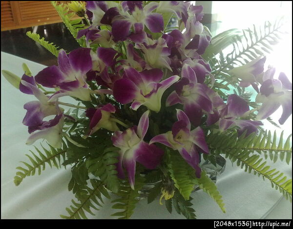 ว่างๆ ไม่มีไรทำเลยถ่ายเล่น