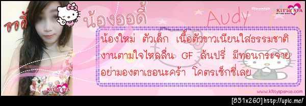 audy banner