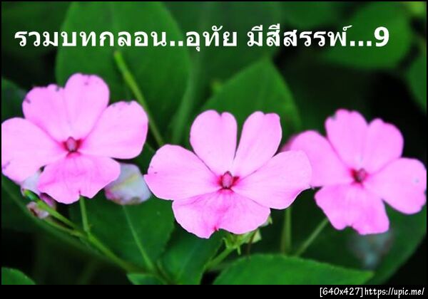 ฝากรูป
