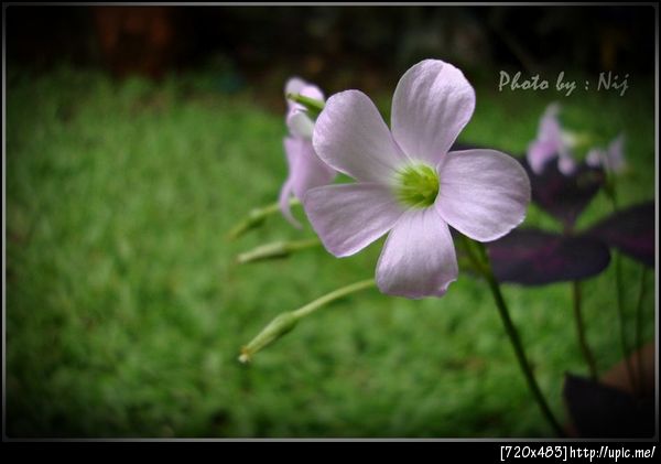 ทดสอบทำภาพขอบดำ
