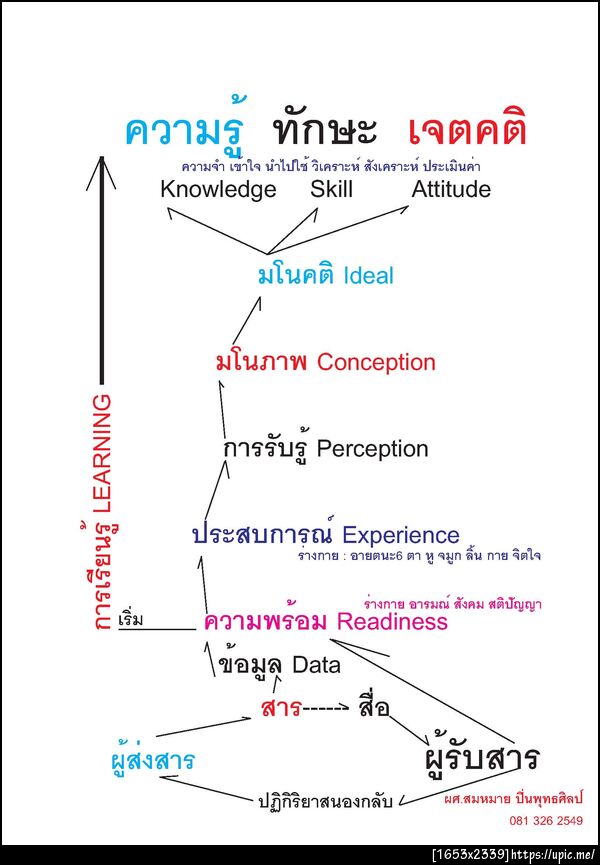 ยาสมองสื่อปัญญา
