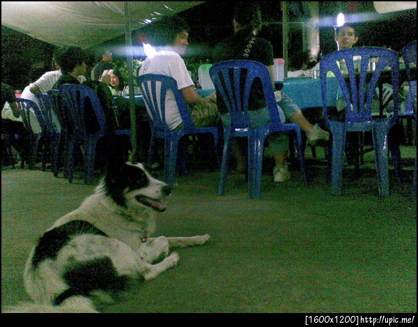 อุตส่าห์ตามมากินข้าวที่เต๊นท์ด้วย