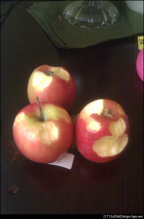 my mom is gonna be pissed. ciaras like a lil mouse lol 