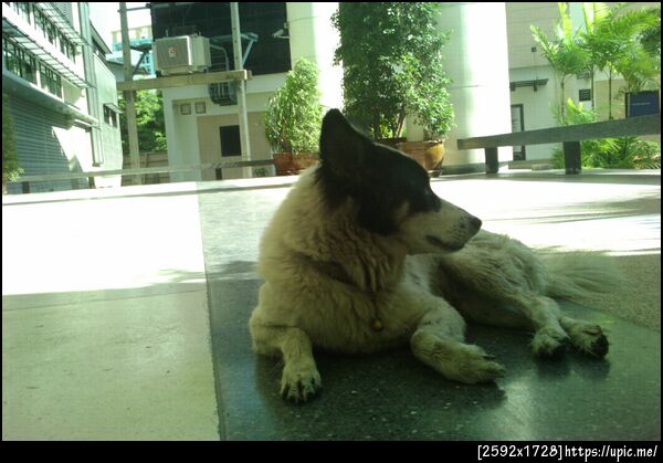 วันเหงาๆ