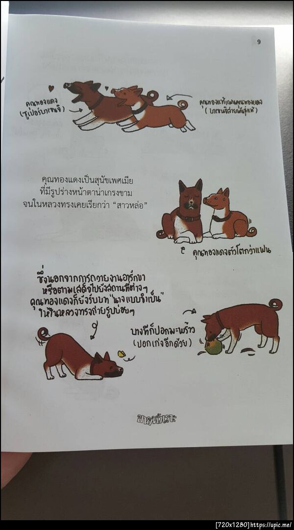 ฝากรูป
