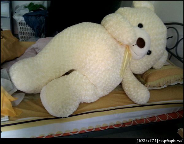 คืนนี้จะนอนยังไงวะเนี่ย