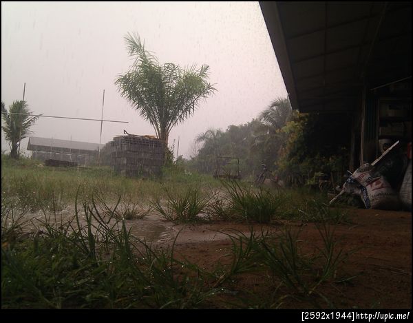 ฝนตกสะใจมากมาย