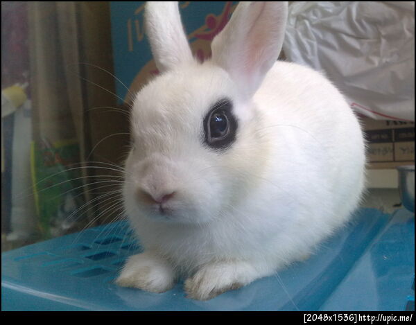 @bonusnoon น้องโบนัส