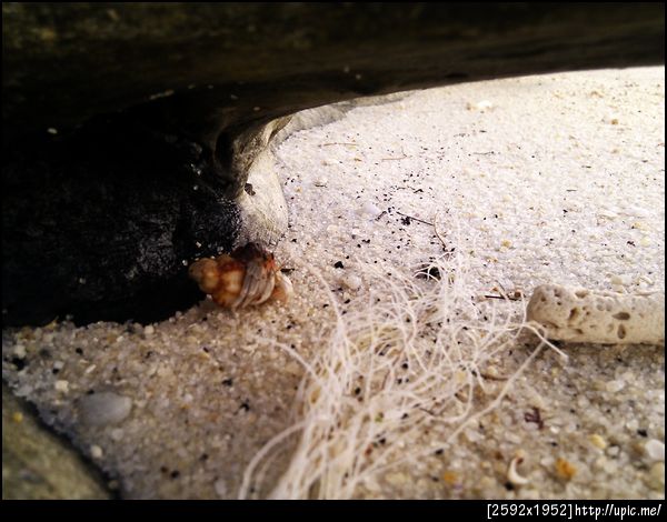 ปูเสฉวน