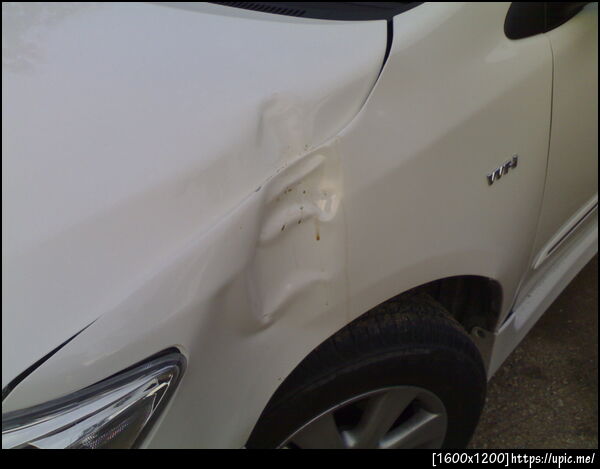 โอะ โอะ โอะ โอ๊ะ เสยต้นไม้ ซารังแฮ~