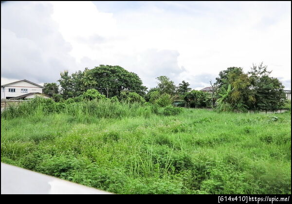 	ขายบ้านเดี่ยว ขายบ้านพร้อมที่ดิน ขายบ้าน4ห้องนอน, แม่ริม