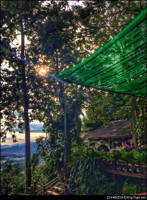 ทุ่งคา กาแฟ