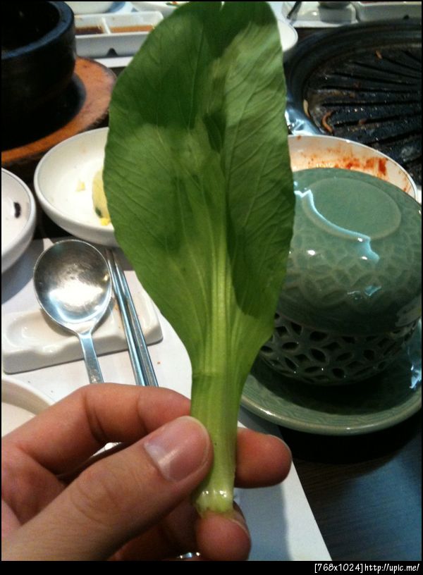 ชอบกินผักนี่มากกกมาาายยย