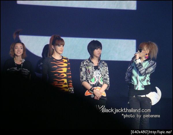 2ne1 excusive fan meeting 