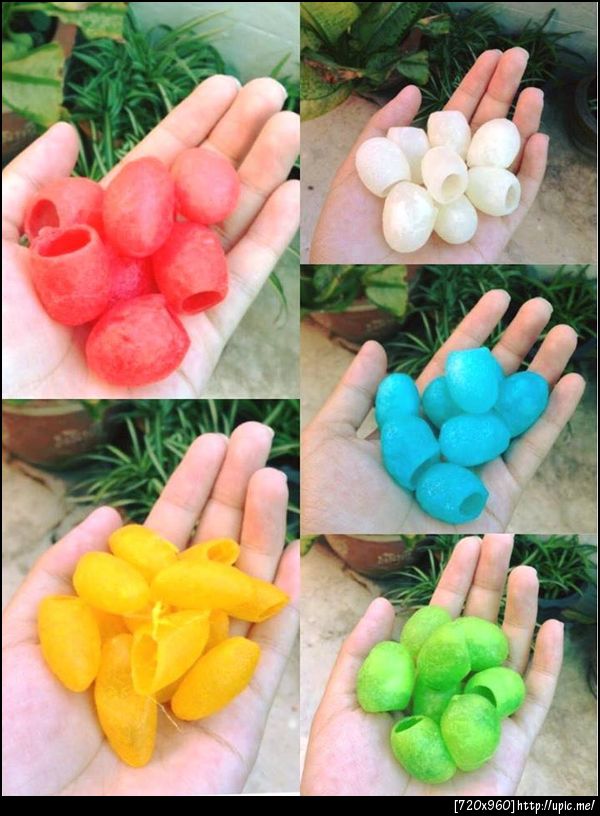 รังไหม 3