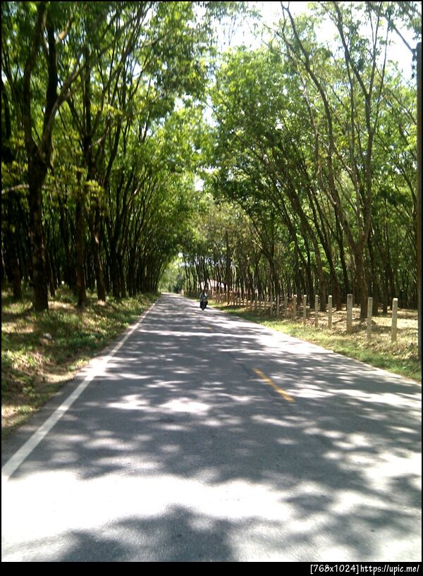 ถนนหลังบ้าน