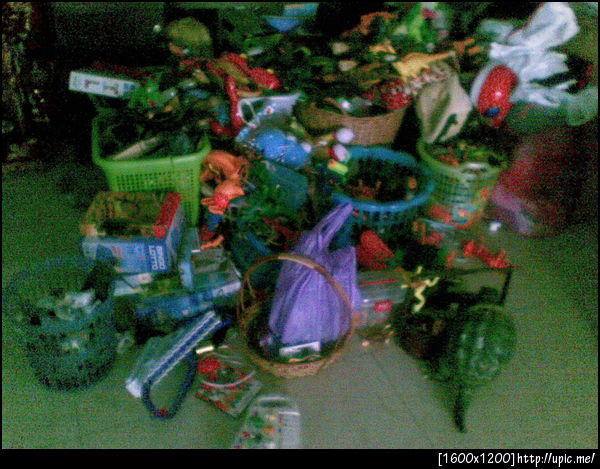 กองขยะบ้านน้อง