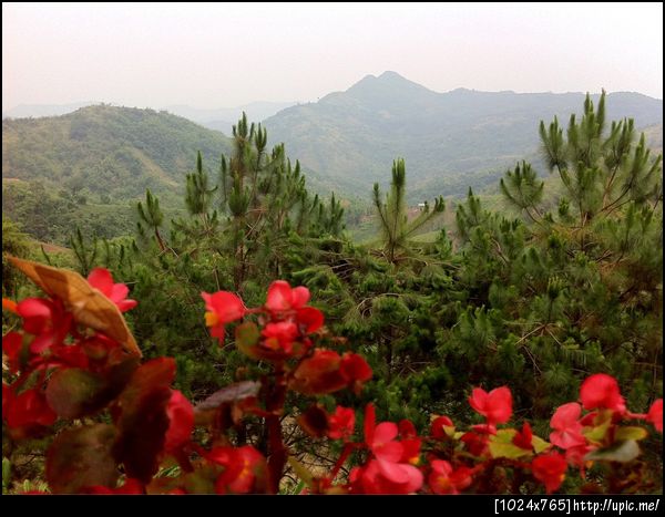 เขาค้ออากาศเย็สบายมากมาย กลางวัน 24c กลางคืน 18c ชิวมาก