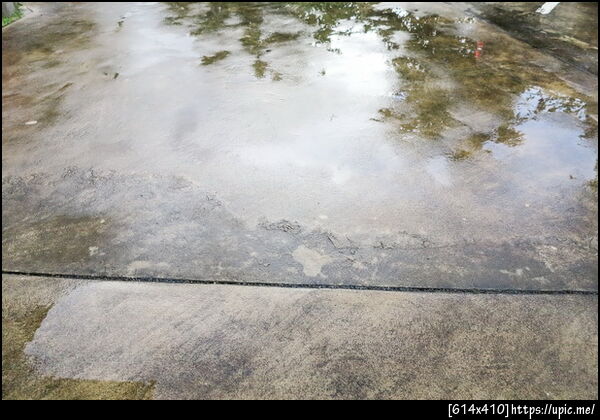 	ขายบ้านเดี่ยว ขายบ้านพร้อมที่ดิน ขายบ้าน4ห้องนอน, แม่ริม