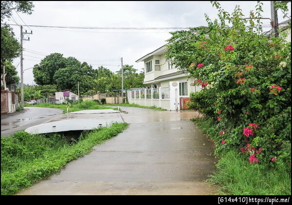 	ขายบ้านเดี่ยว ขายบ้านพร้อมที่ดิน ขายบ้าน4ห้องนอน, แม่ริม