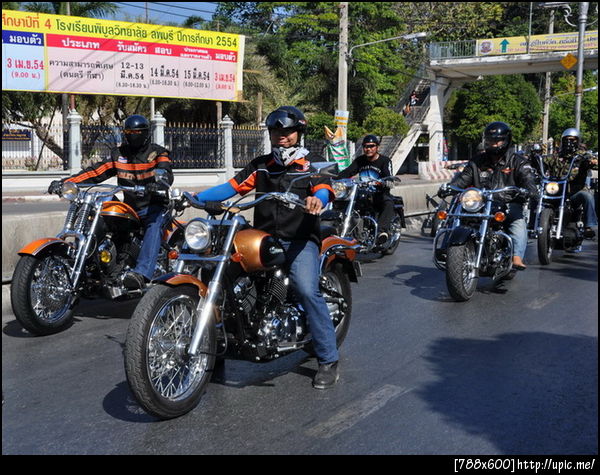 ตามกันมาเป็นขบวน