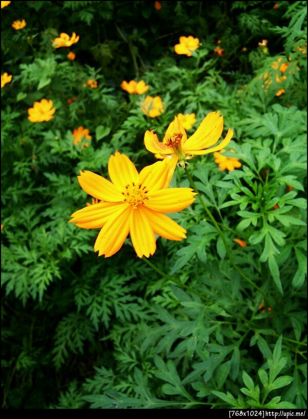 บรรยากาสรีสอร์ท #TARADouting