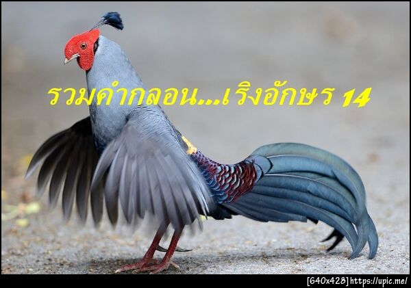 ฝากรูป