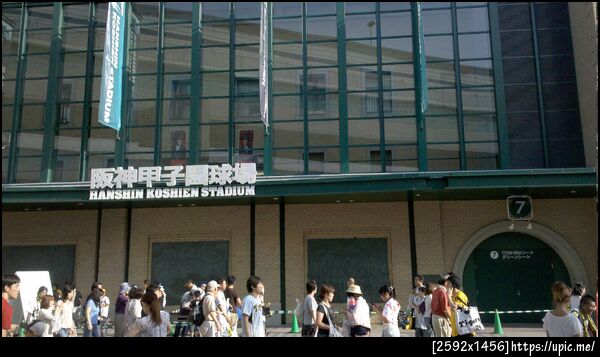 虎柄のひとがようさんおります。